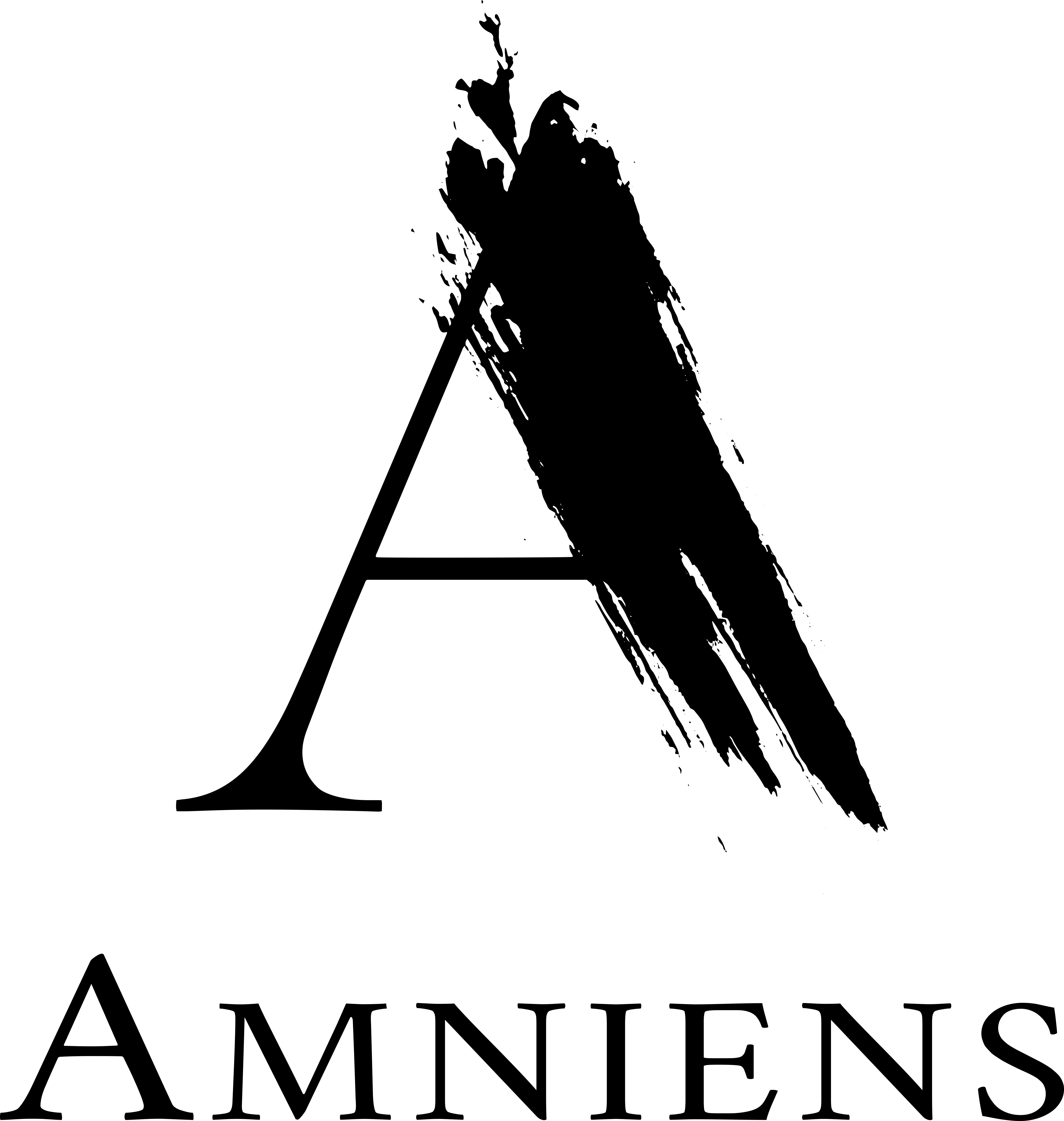 AMNIENS logo