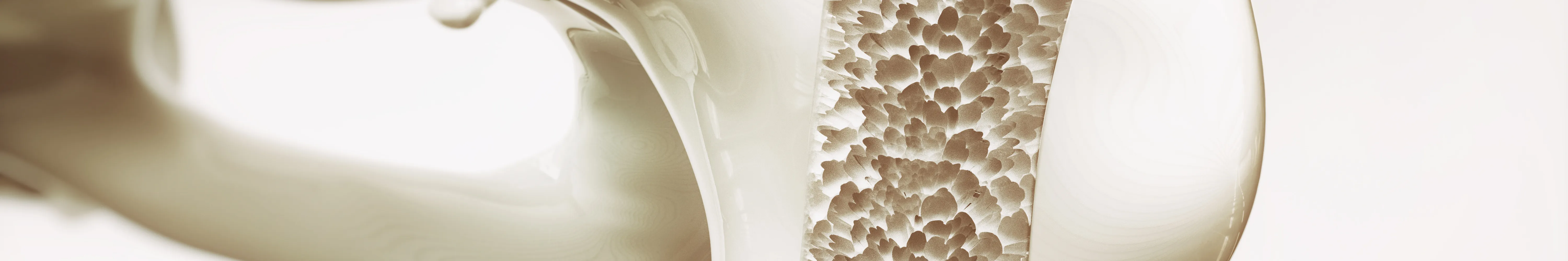 osteolabs -Experts for Bone Biomarkers