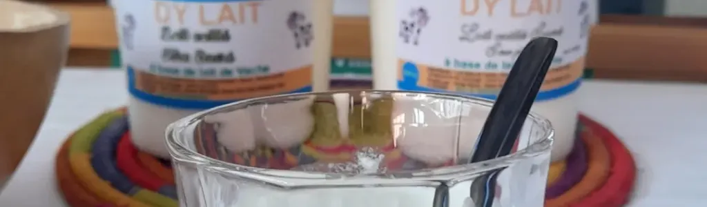 Produits laitiers a base de lait frais de vache/  yaourt  Fromage  lait caillé 
