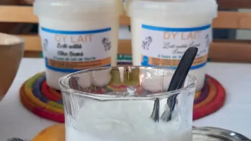 Produits laitiers a base de lait frais de vache/  yaourt  Fromage  lait caillé 